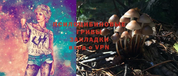 твердый Вязники