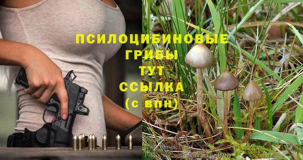 MDMA Premium VHQ Вяземский